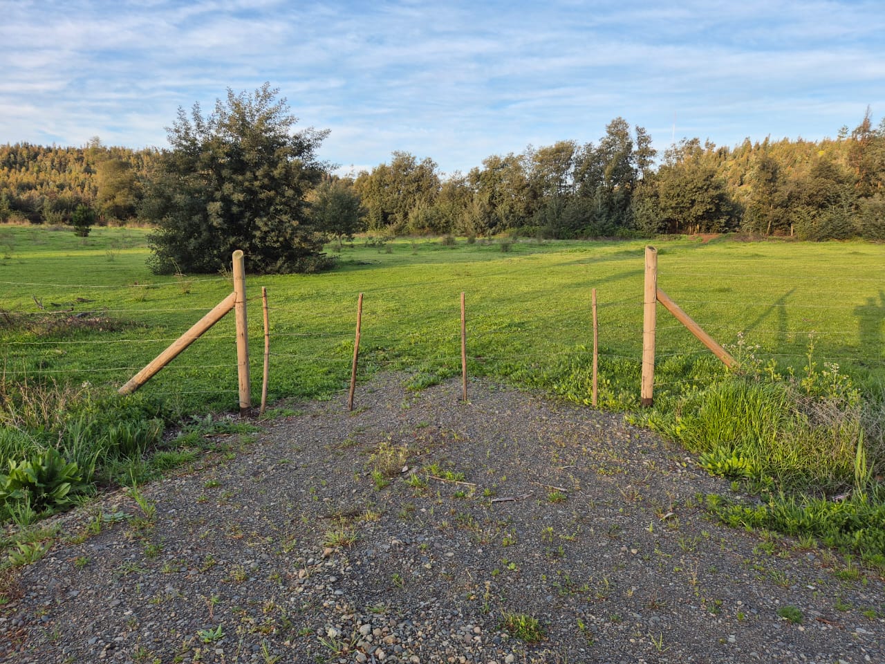 TERRENO FORESTAL / AGRÍCOLA