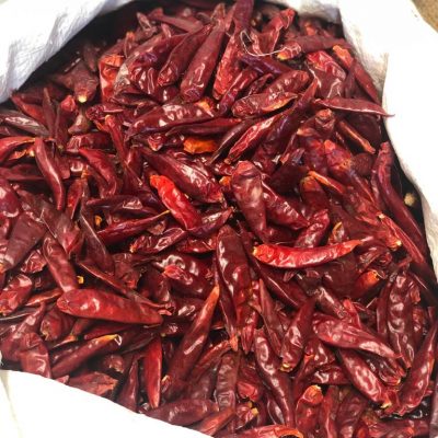 Chile de arbol