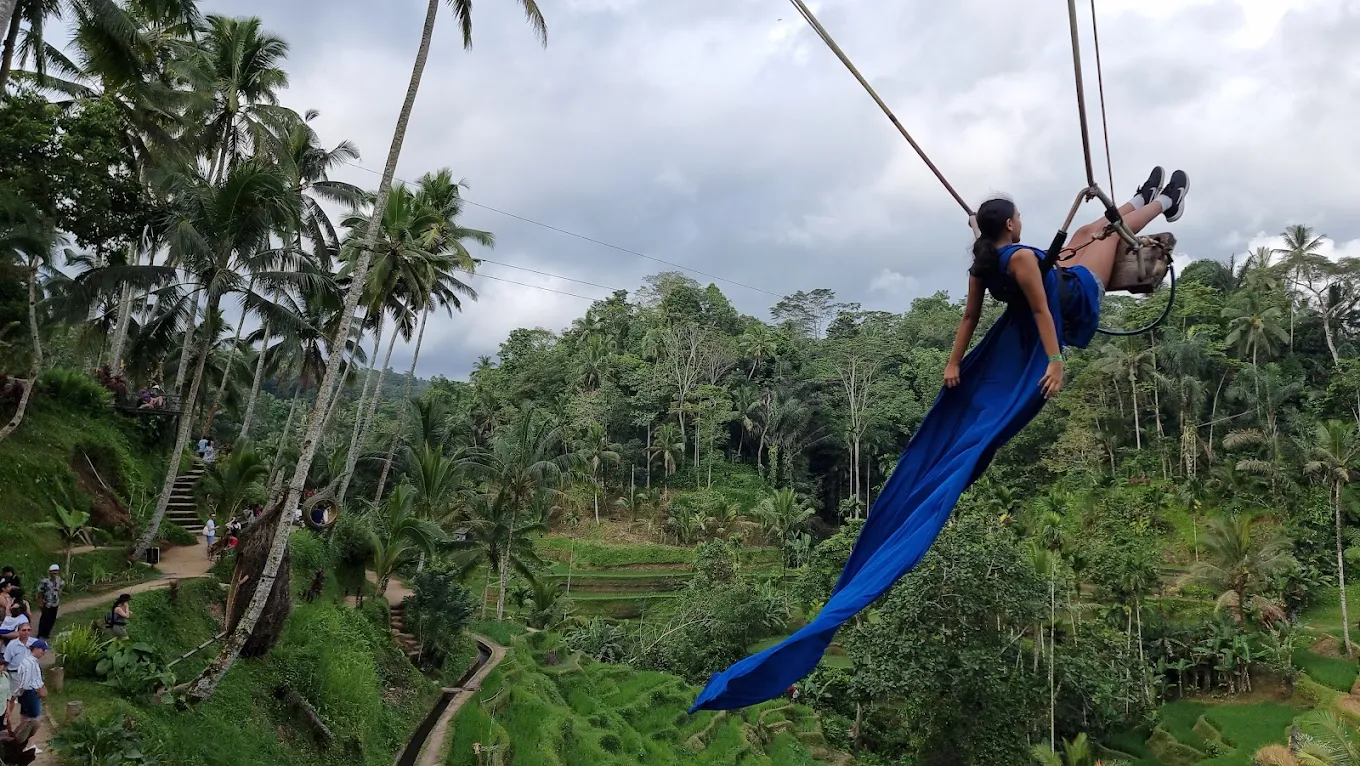 Ubud's Cultural & Natural Essence: Barong Dance, Monkey Forest & Rice Terraces
