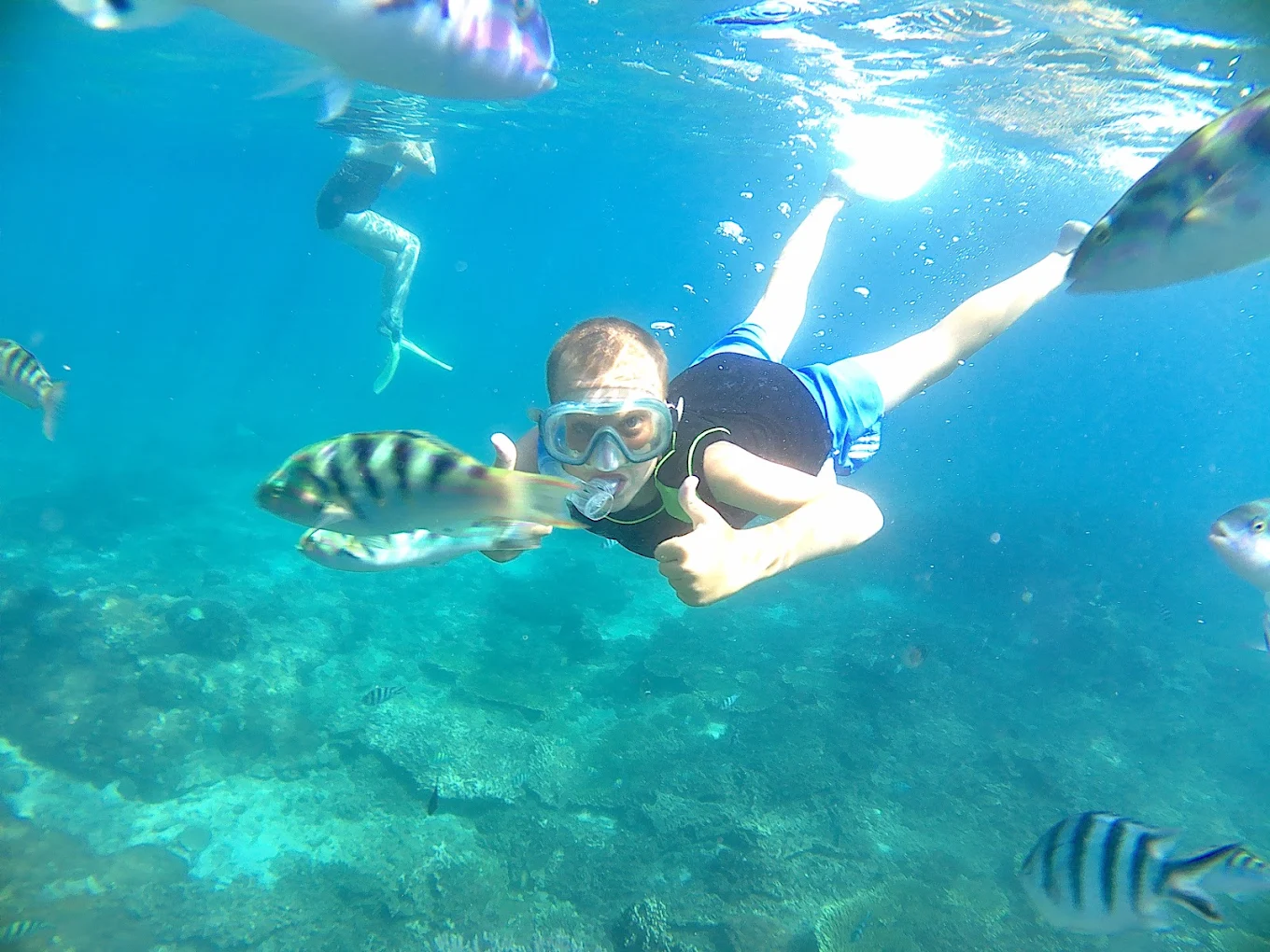 "Bali's Perfect Pairing: Dive Deep & Dine High"