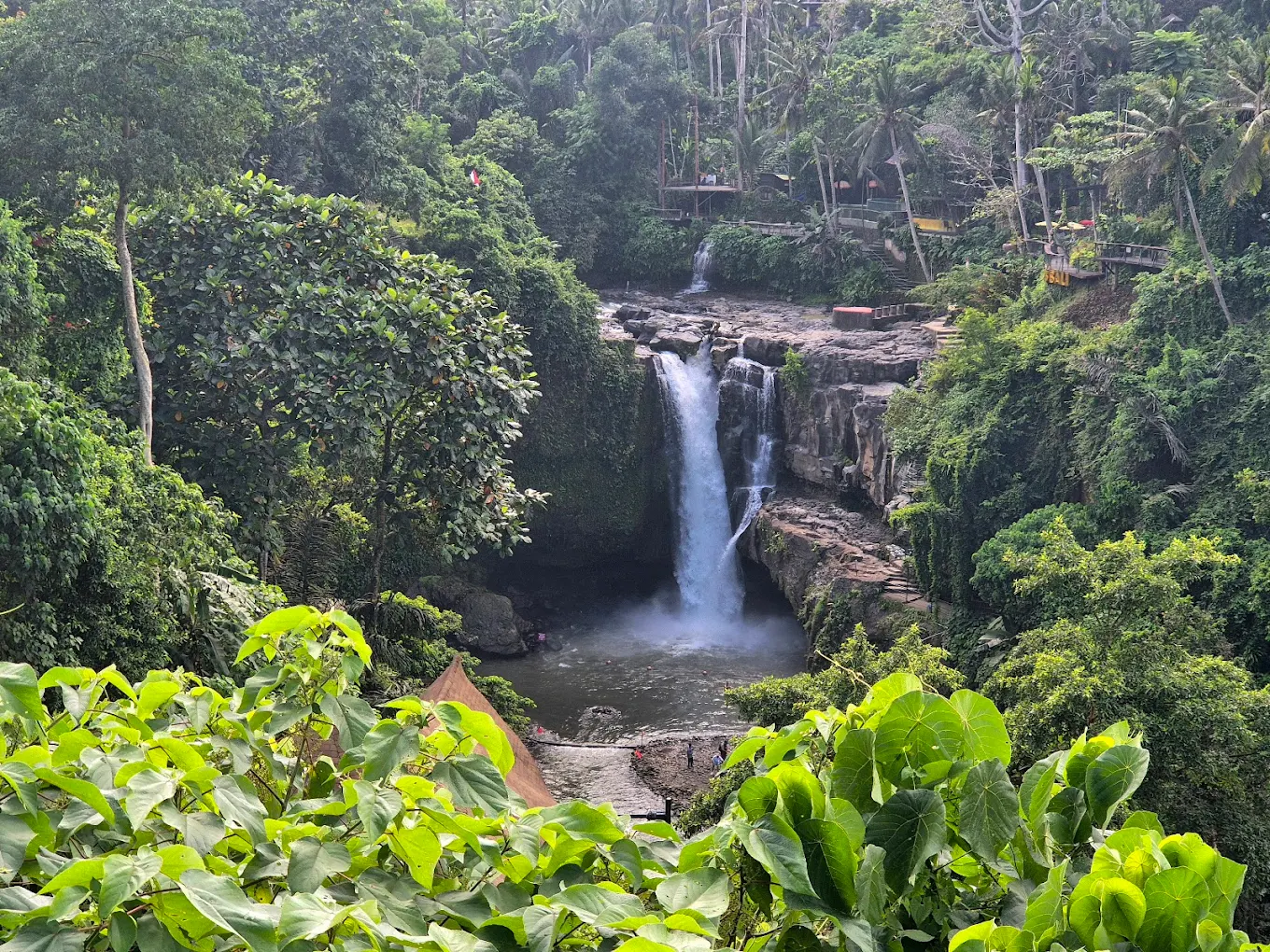 Ubud's Cultural & Natural Essence: Barong Dance, Monkey Forest & Rice Terraces