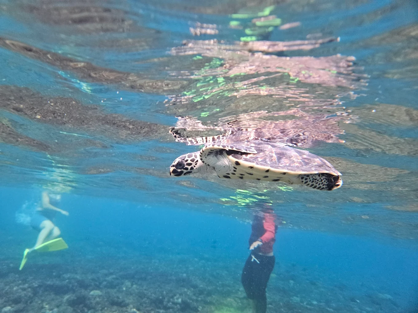 One Day Tour (Special Tour & Snorkeling Package)