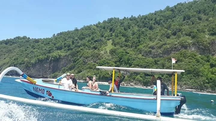 "Bali's Perfect Pairing: Dive Deep & Dine High"