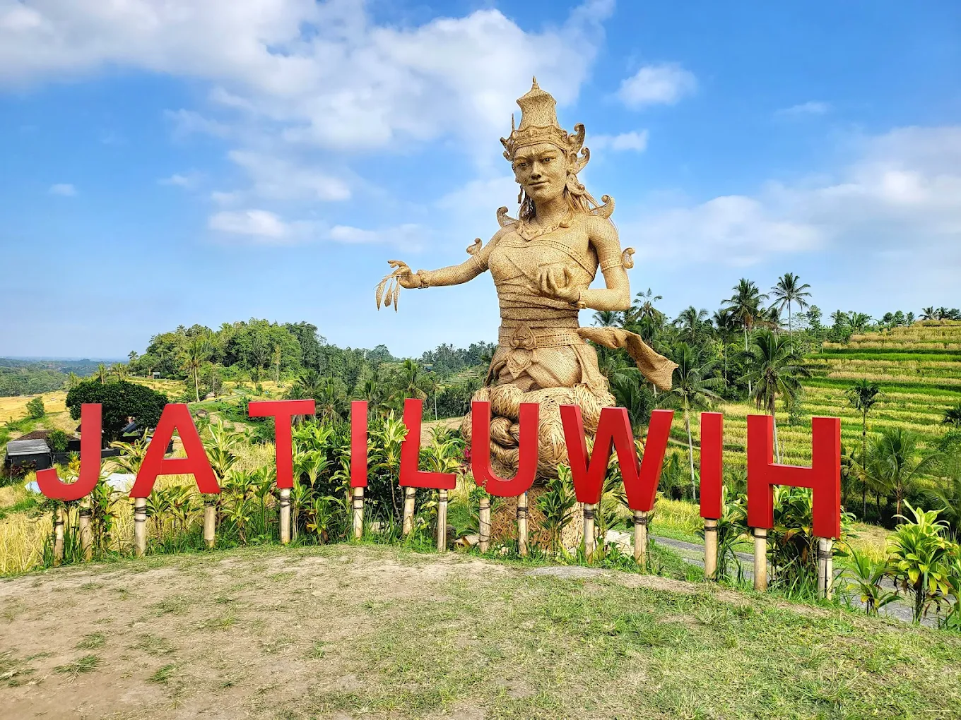 Your Magical Bali Private Tour: Temples, Waterfall and World Heritage Rice Fields 