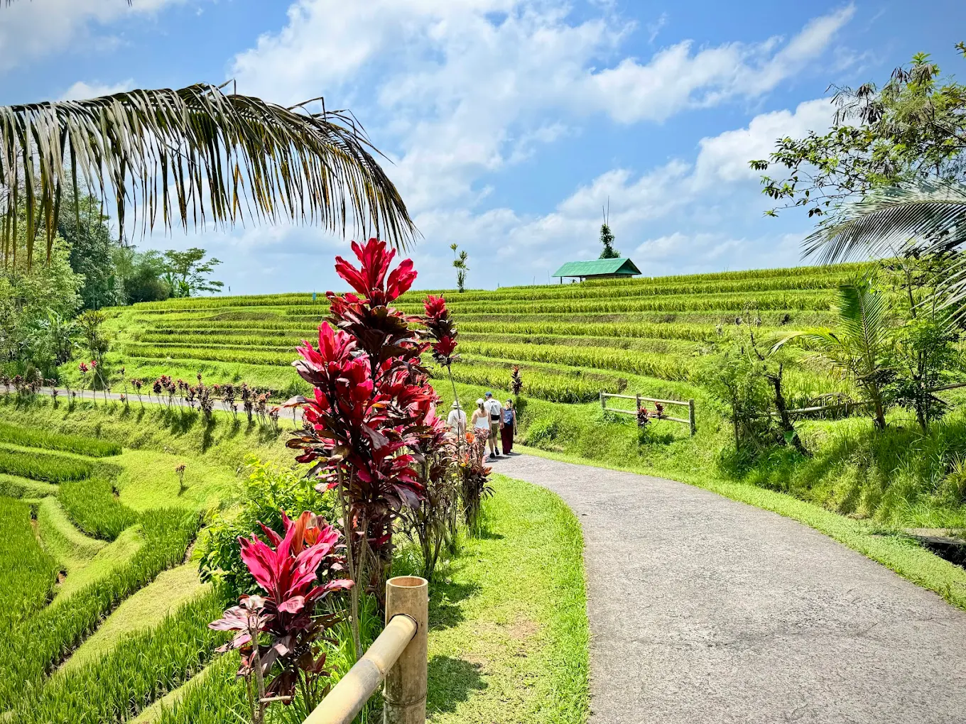Your Magical Bali Private Tour: Temples, Waterfall and World Heritage Rice Fields 