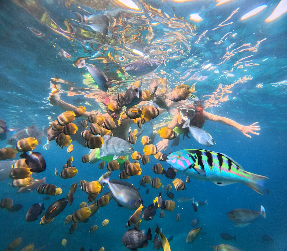 One Day Tour (Special Tour & Snorkeling Package)