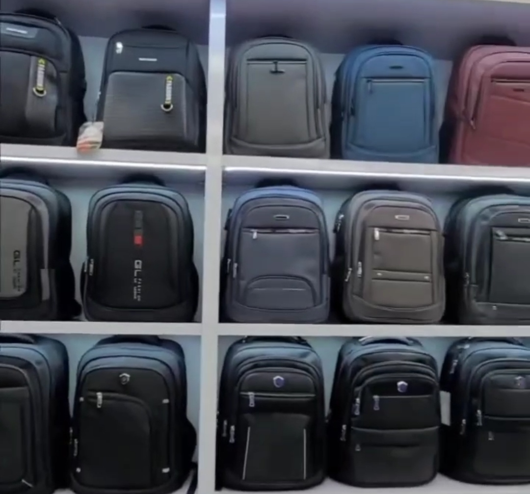 Stylish Laptop Backpack