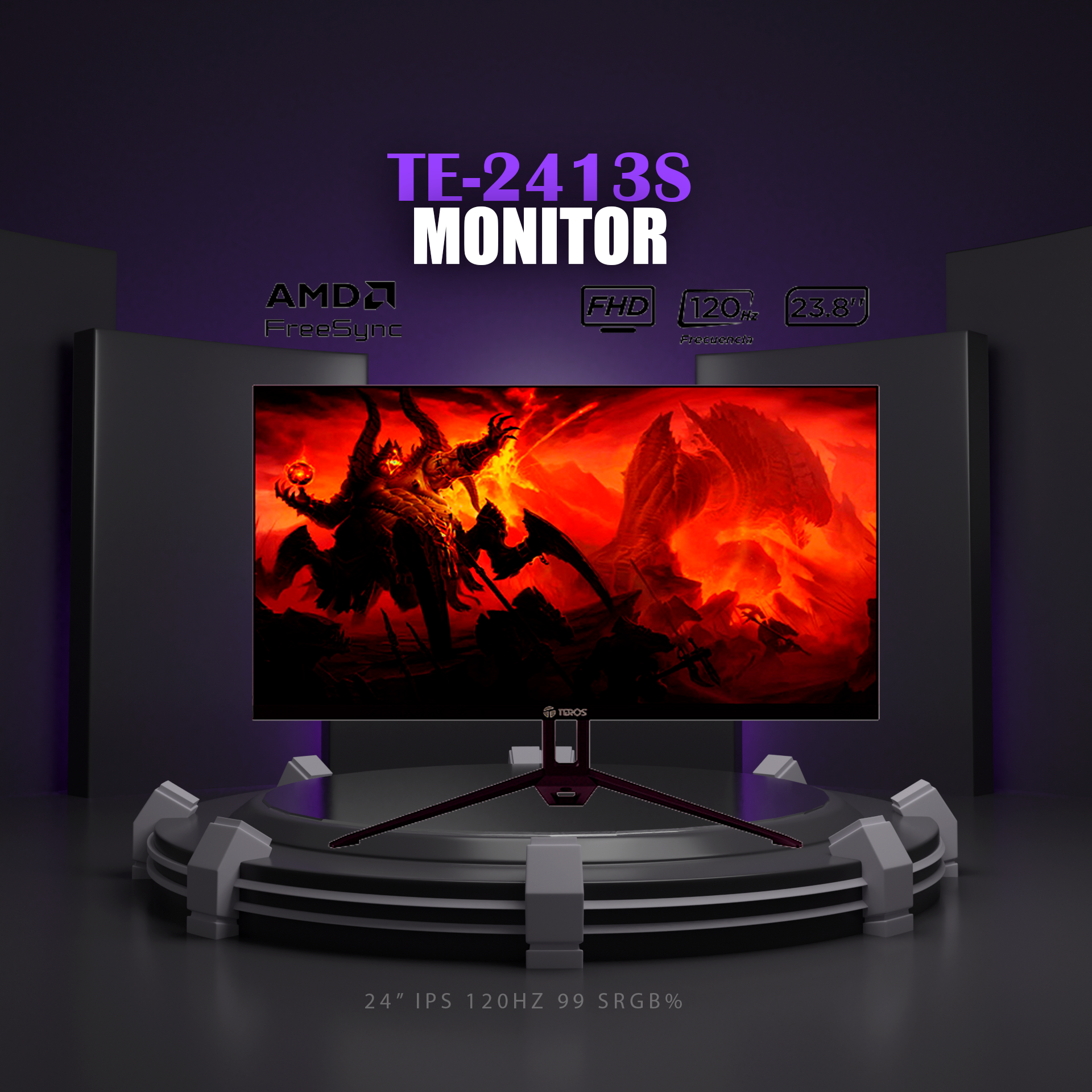 Monitor TE-2413S
