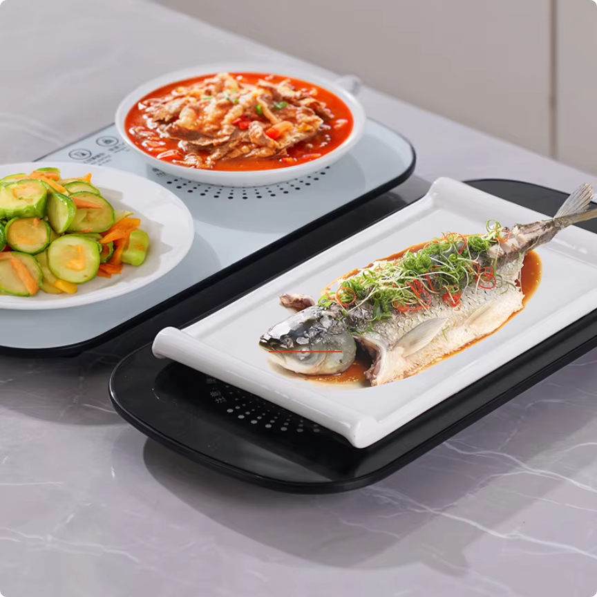 Electric Food Warmer