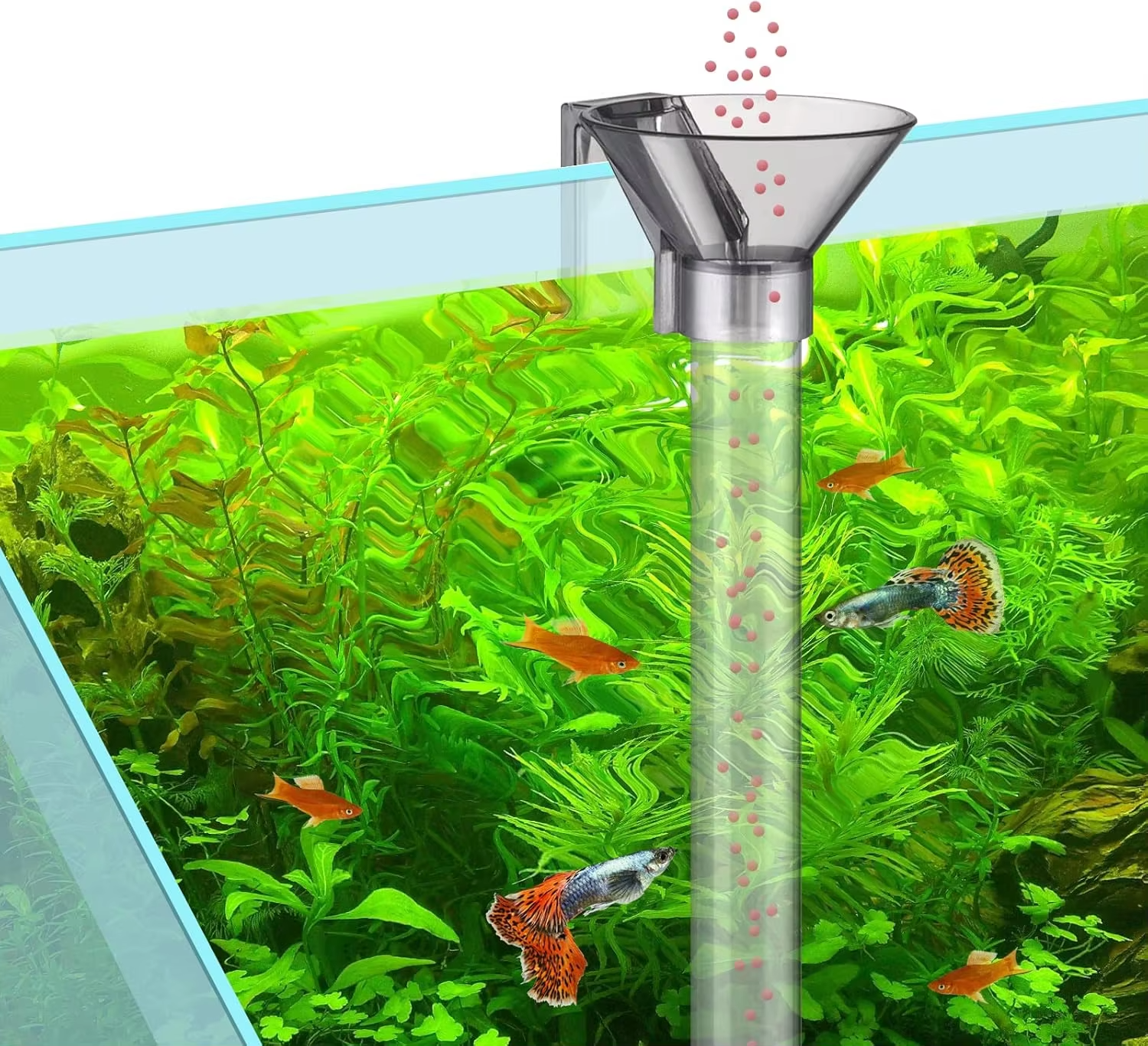 Fish Tank Feeder