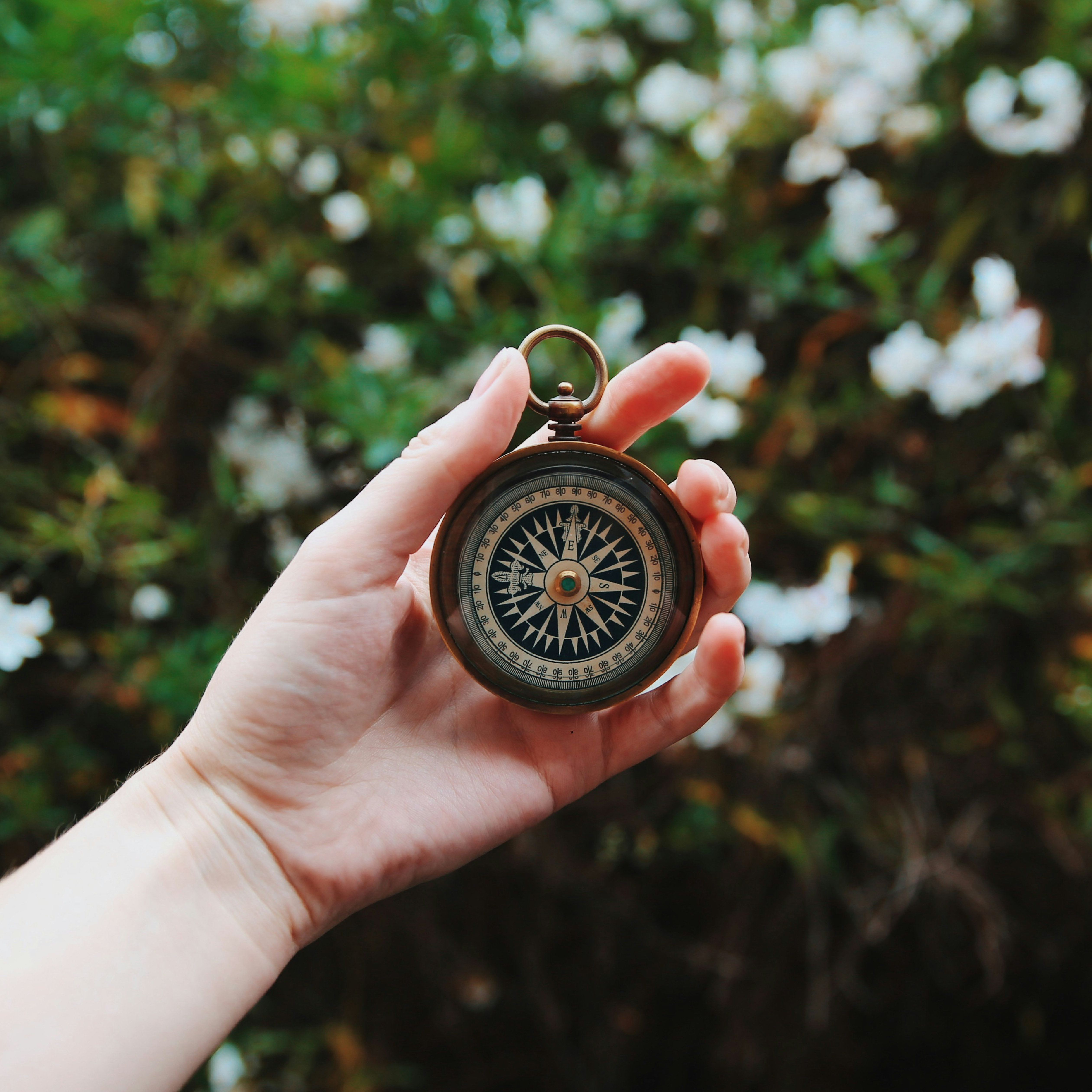 ネイタルチャート鑑定