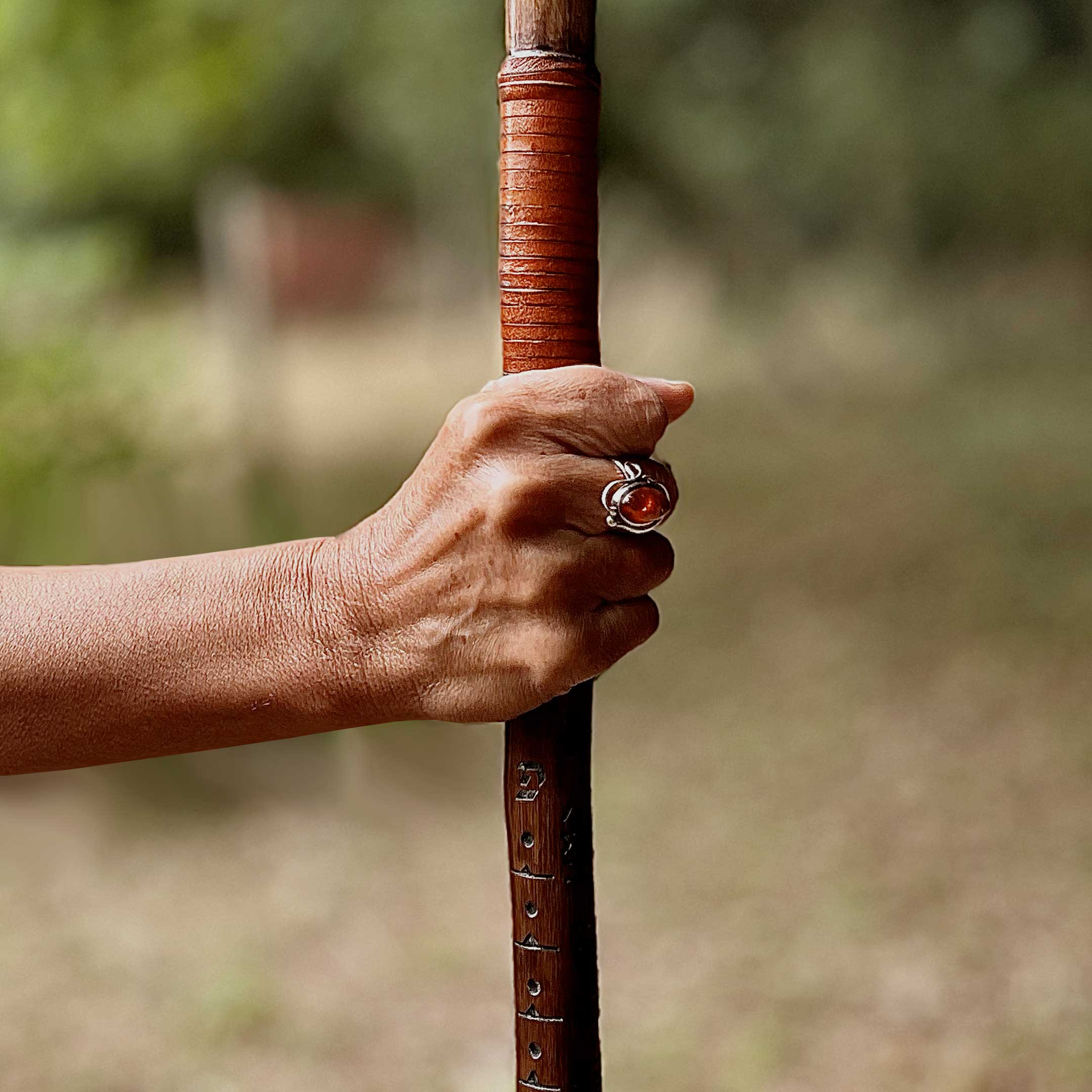 Bâton de pèlerin en châtaignier - taille M