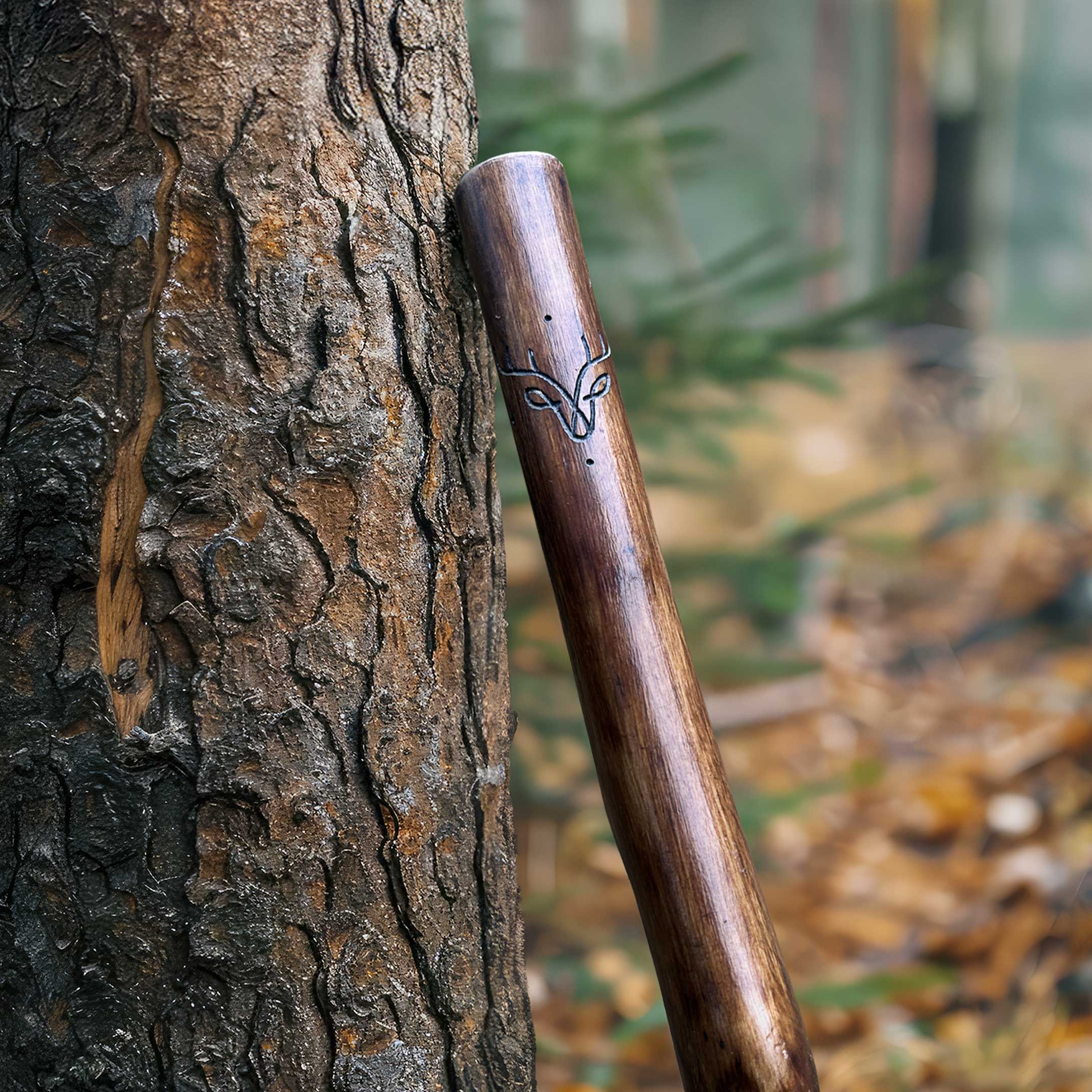 Bâton de pèlerin en châtaignier - taille M