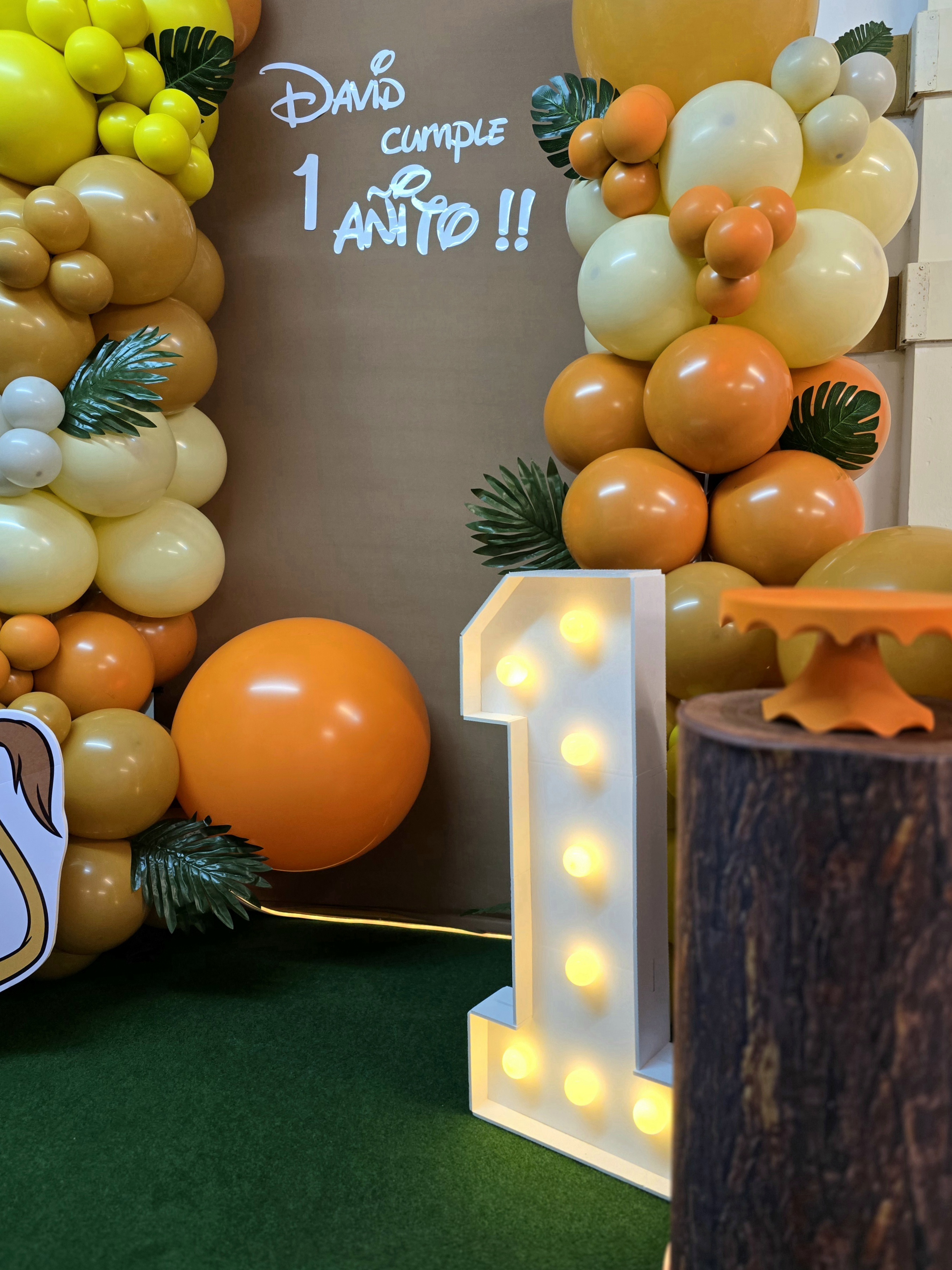 Rey León Photocall con arco de globos