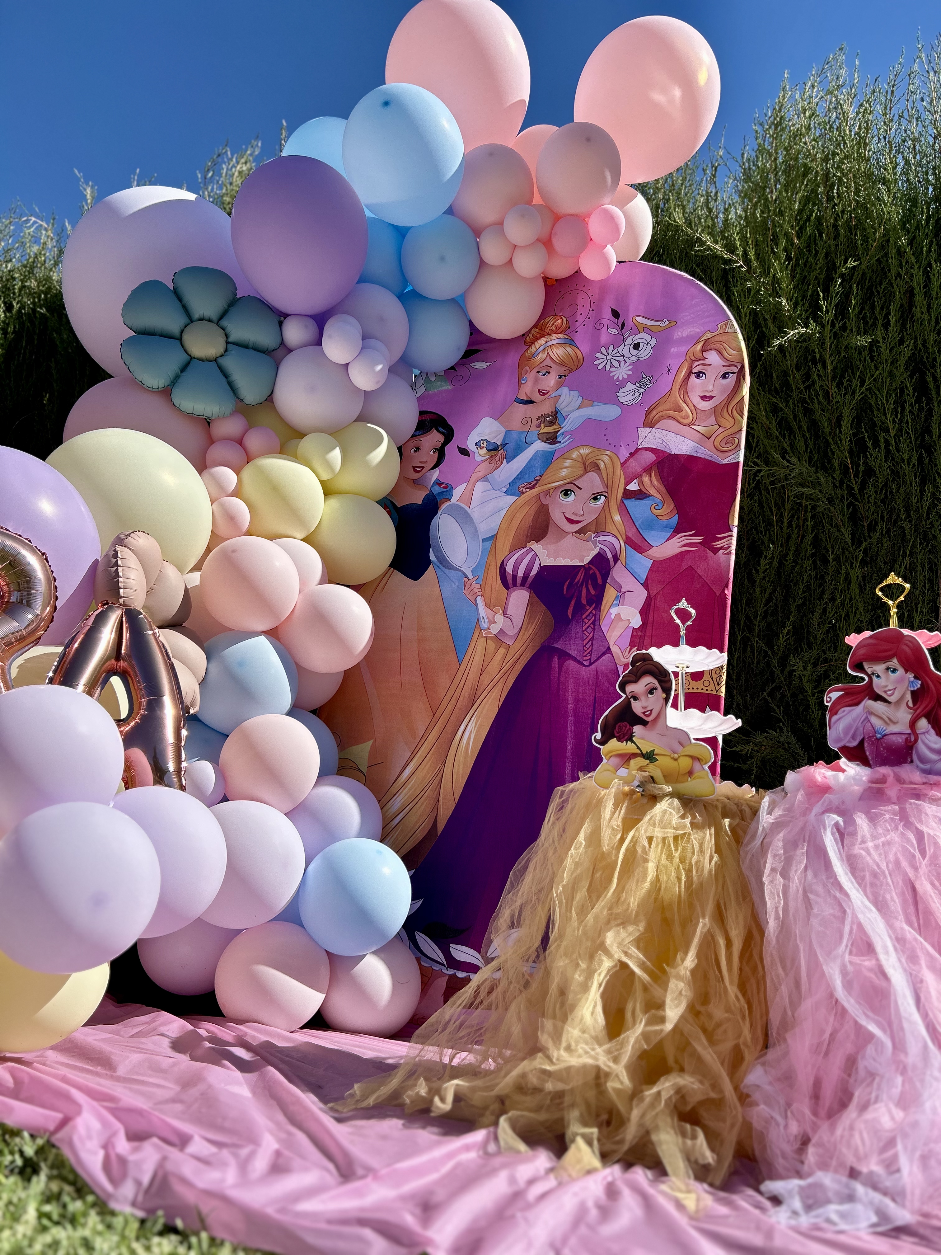 Set Princesas Pastel — Photocall con arco y nombre