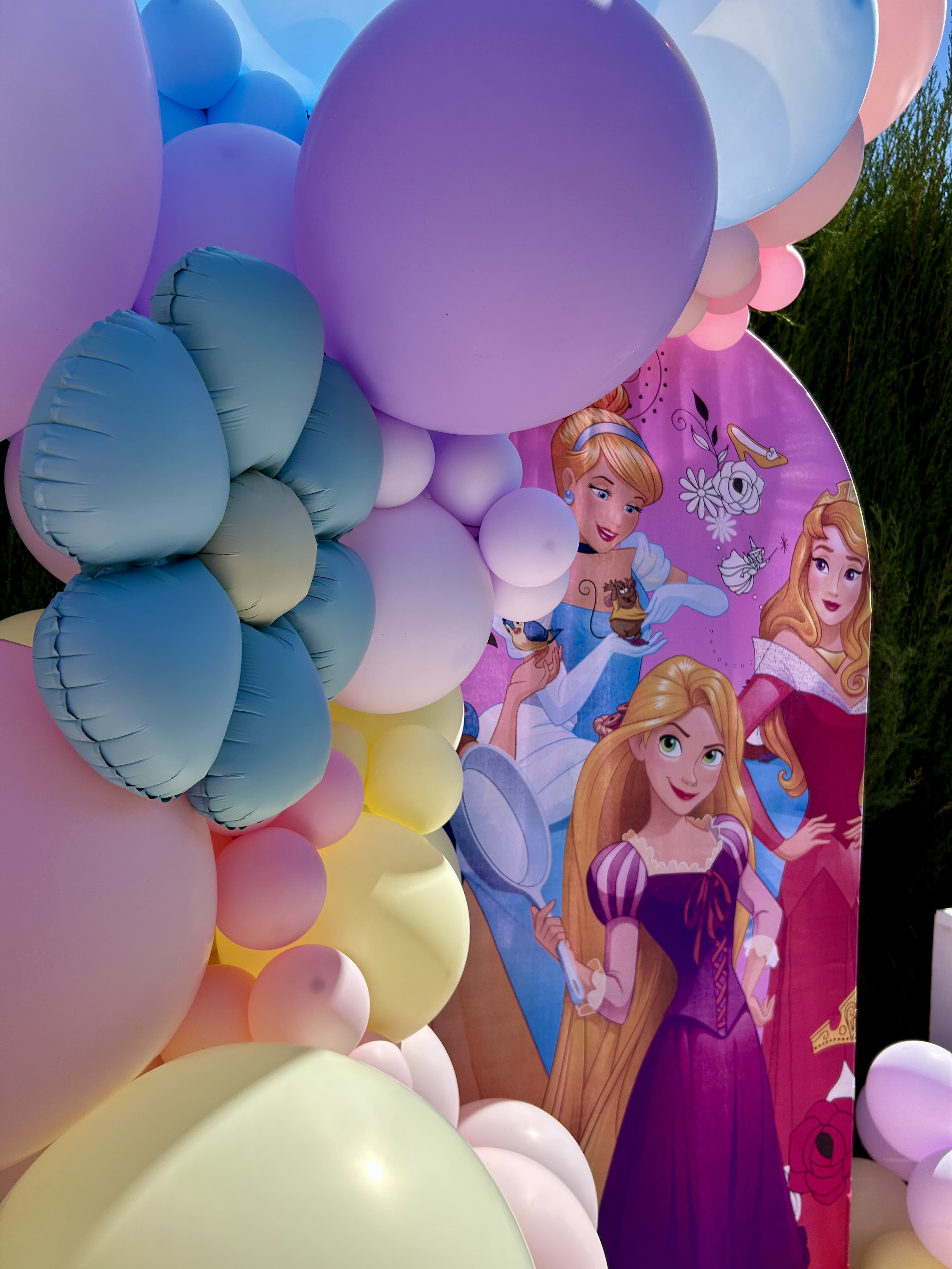 Set Princesas Pastel — Photocall con arco y nombre