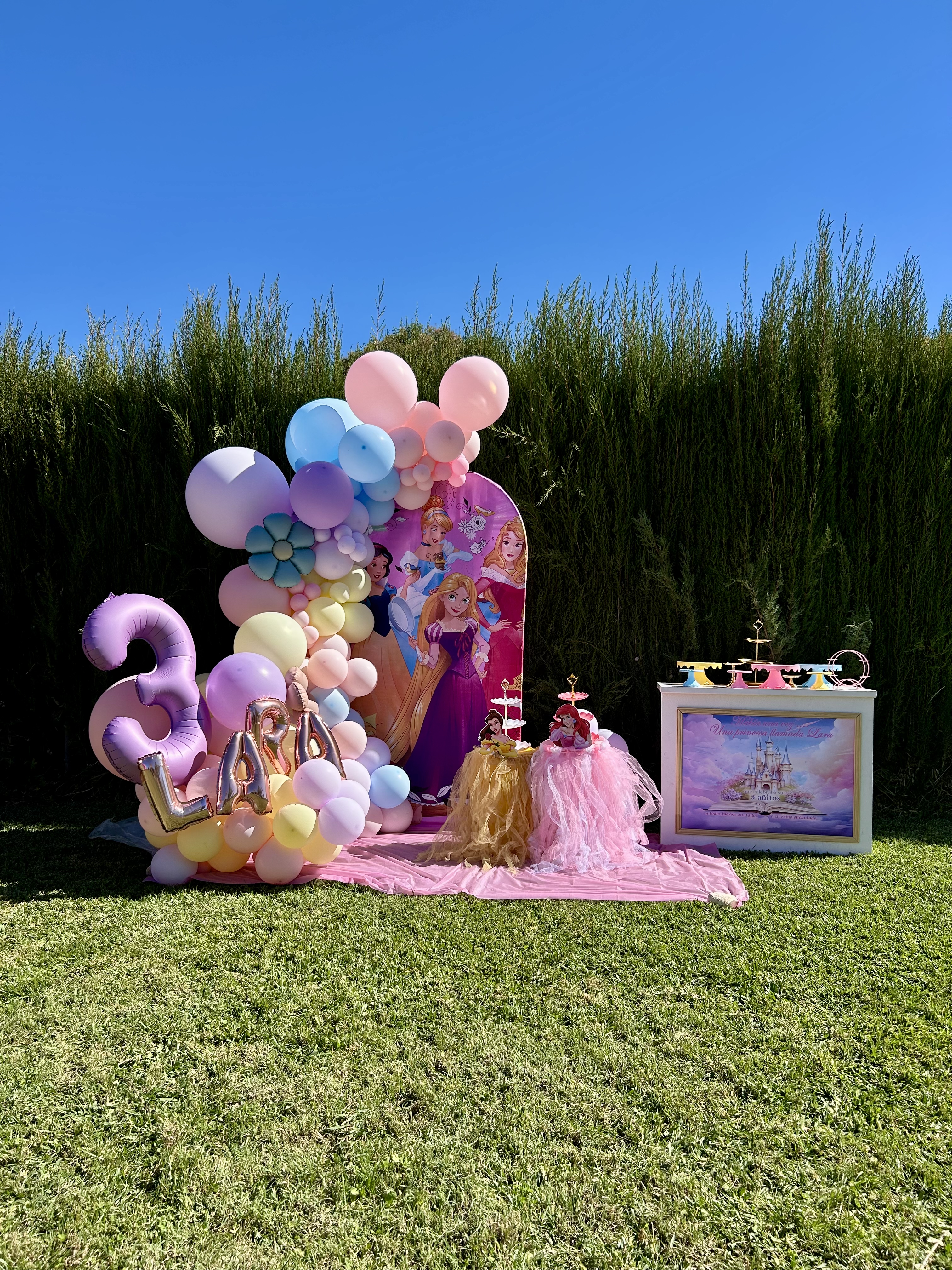 Set Princesas Pastel — Photocall con arco y nombre