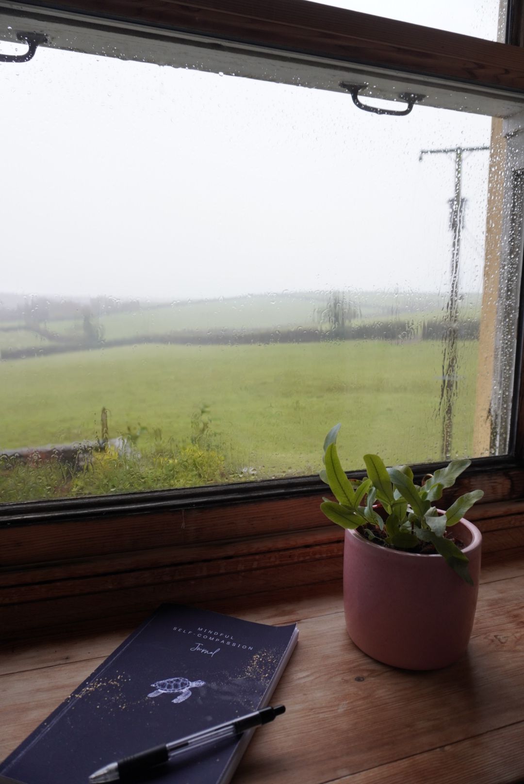 Mindful Self-Compassion Journal