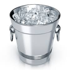 Stainless Steel Ice Bucket