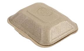 Eco-Friendly Takeout Container