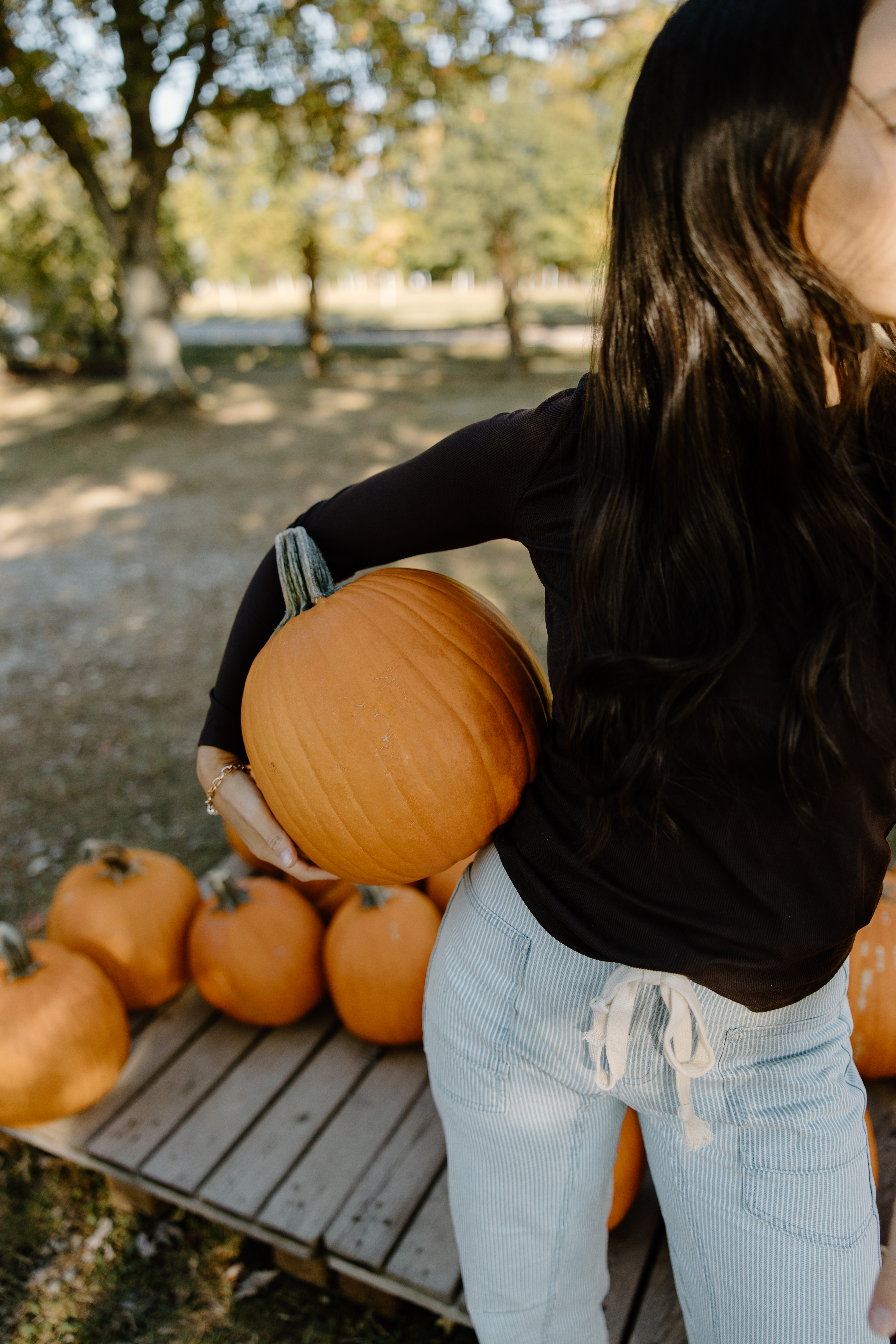 Pumpkin pickup at the end of the season