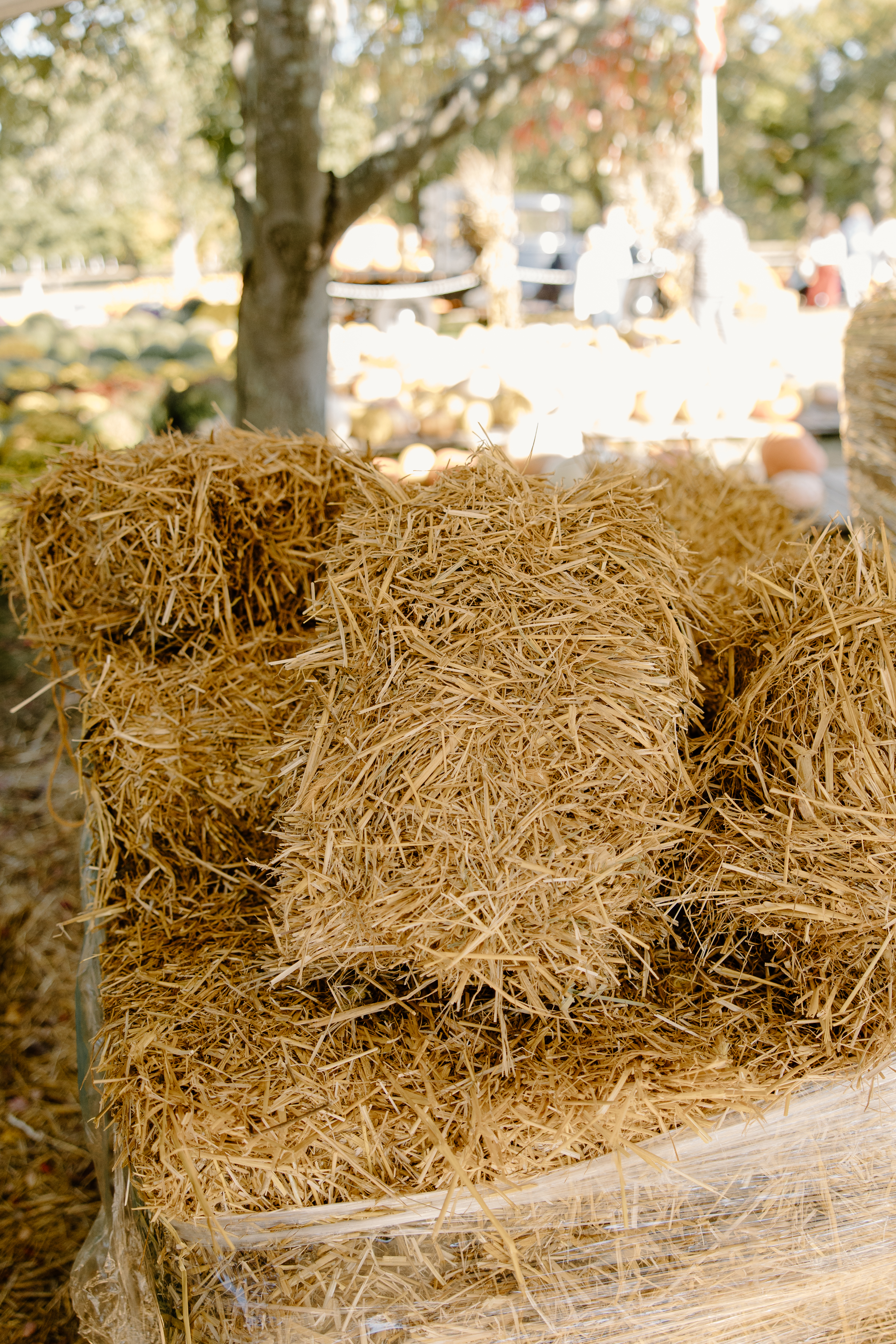 Hay Bale
