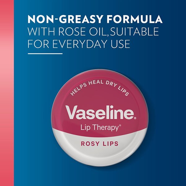 Vaseline Moisturizer & Lip Supplier - 20gm