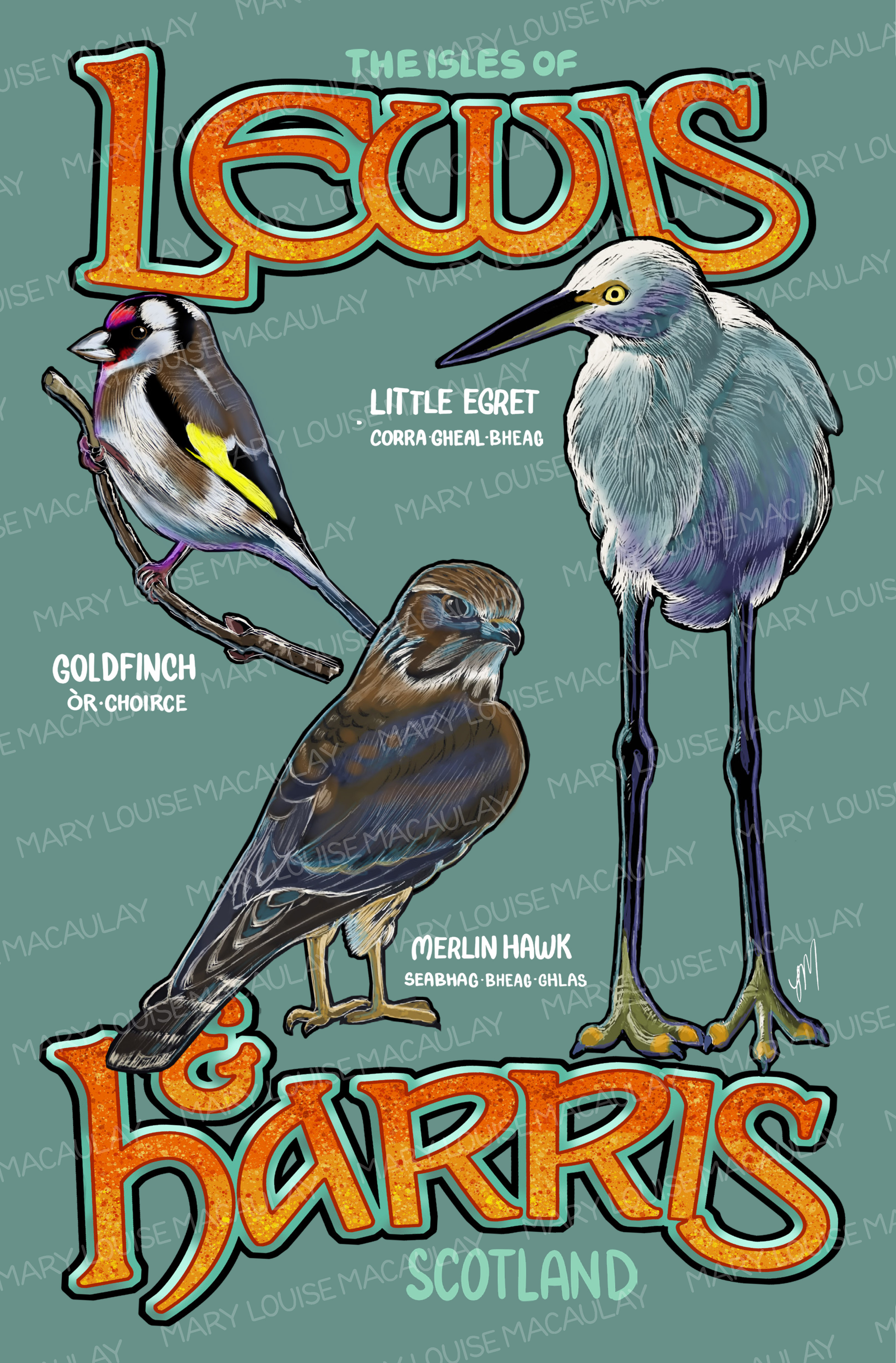 Lewis &Harris Birds Card