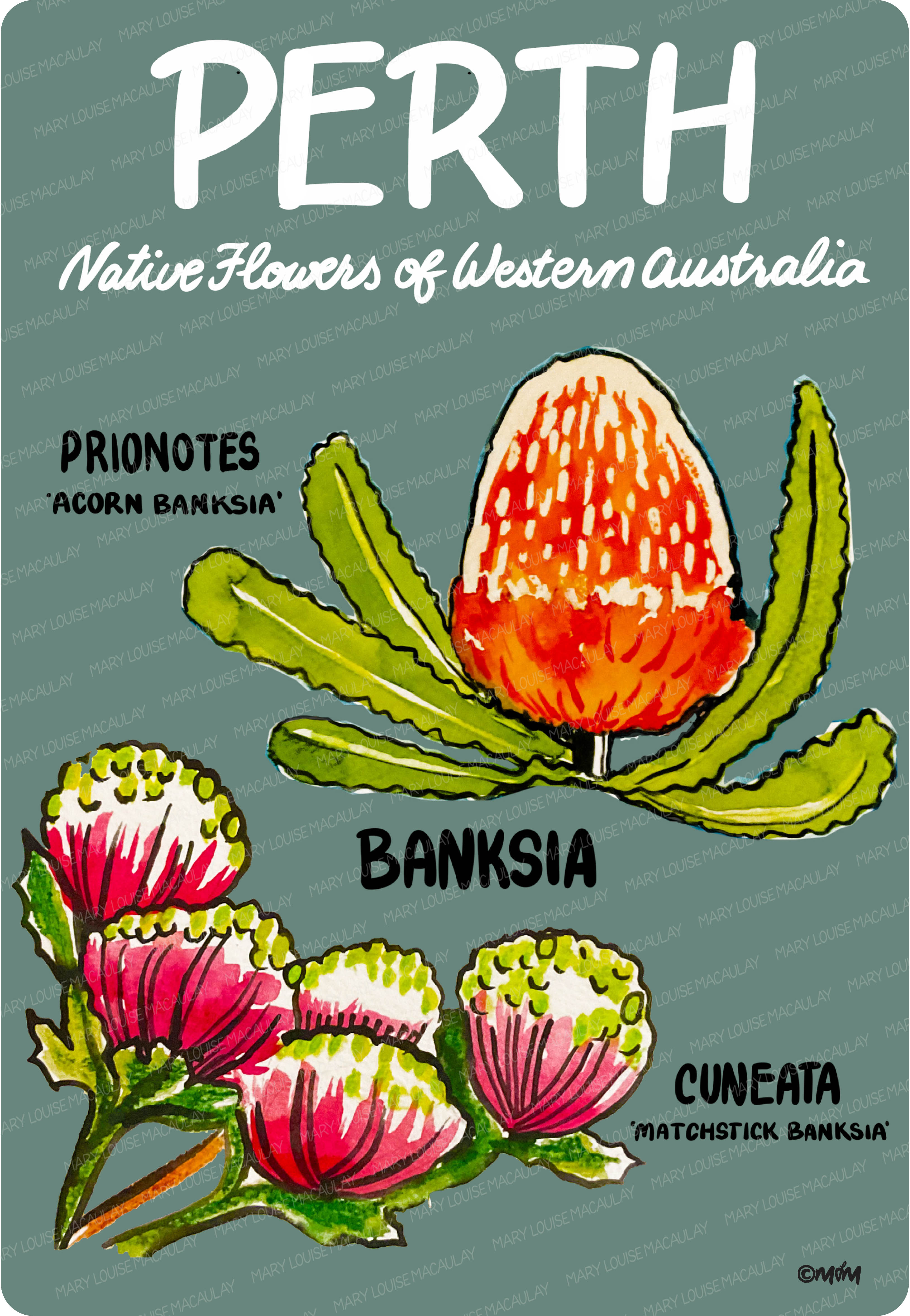 Perth Native Flowers Card