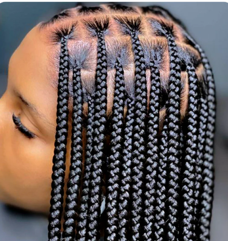 Neat Box Braids