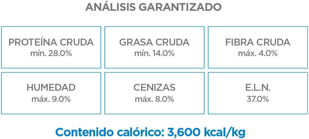 Cachorro Raza grande