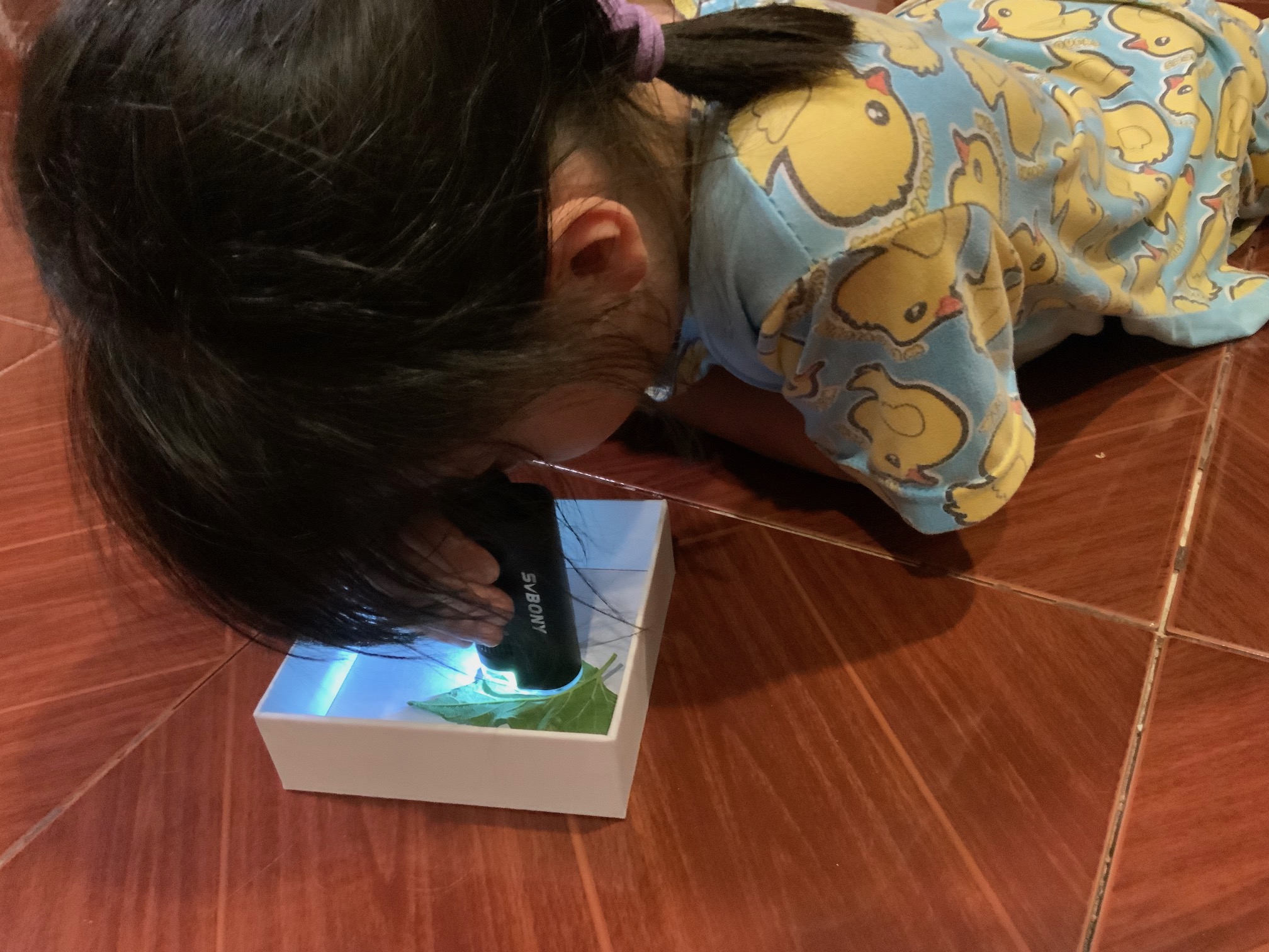 SVBONY Pocket Microscope