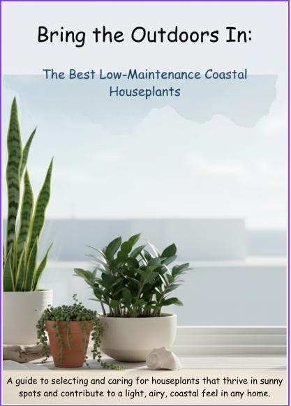 Bring the Outdoors In: The Best Low-Maintenance Coastal Houseplants