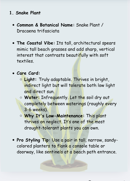 Bring the Outdoors In: The Best Low-Maintenance Coastal Houseplants