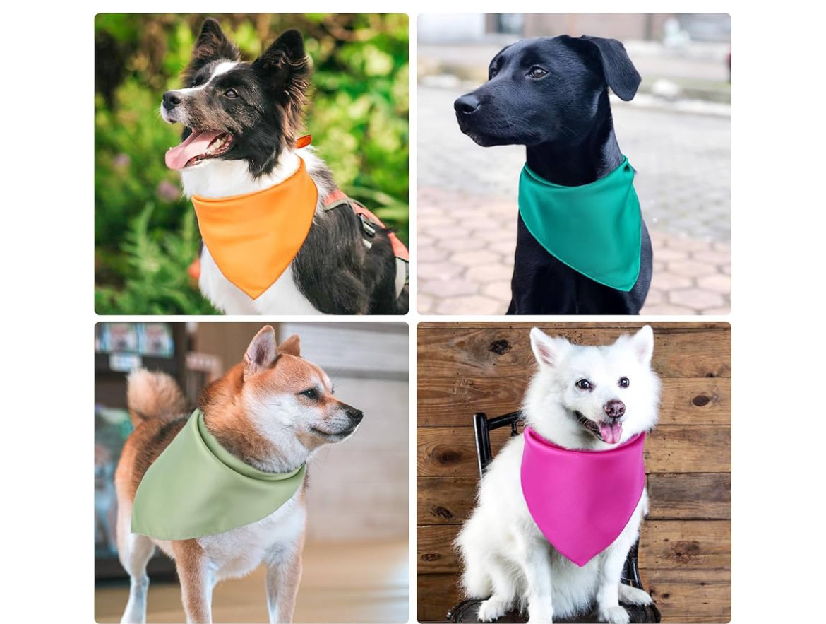 Colorful Pet Bandanas
