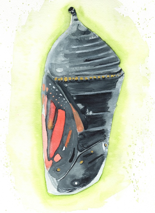 Digital Monarch Painting Set