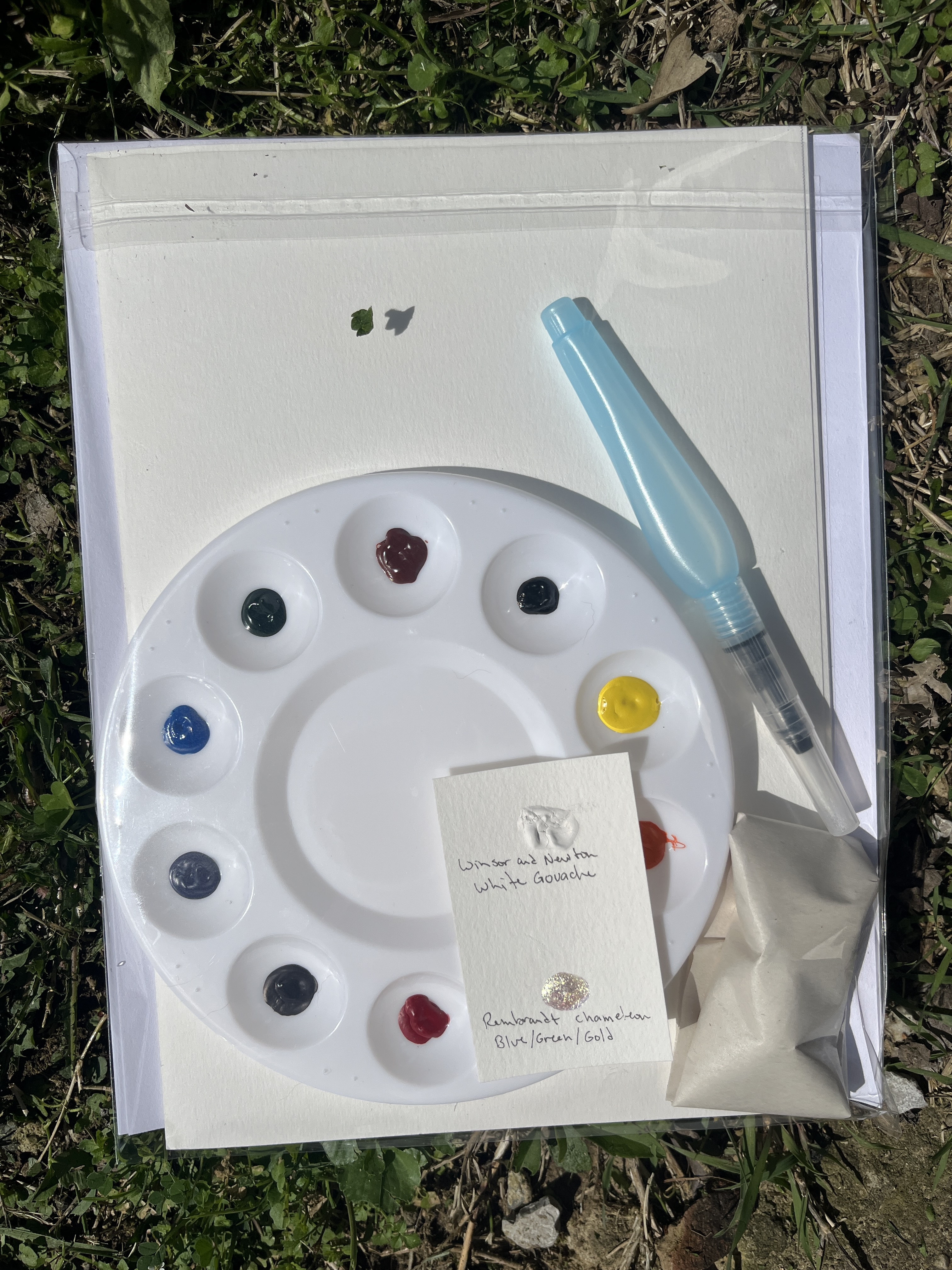 Watercolor Birds Painting Kit