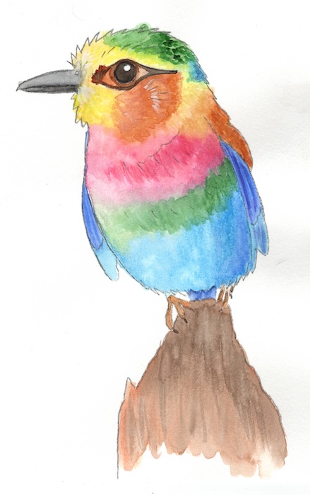 Watercolor Birds Digital Painting Kit