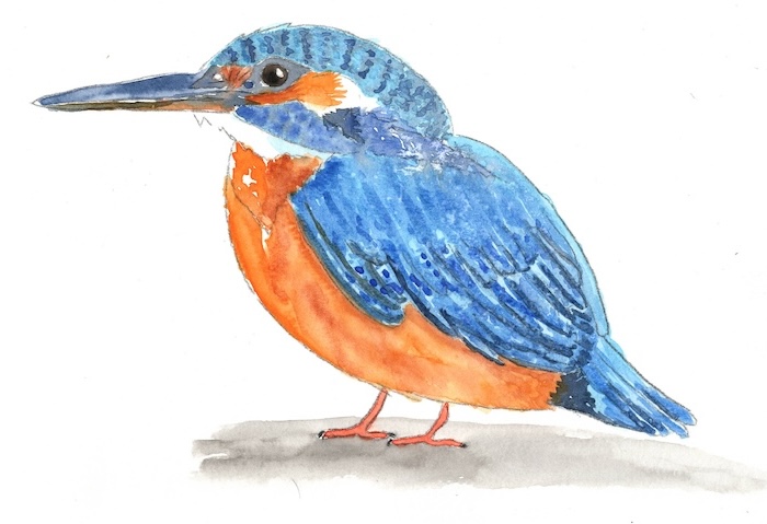 Watercolor Birds Digital Painting Kit