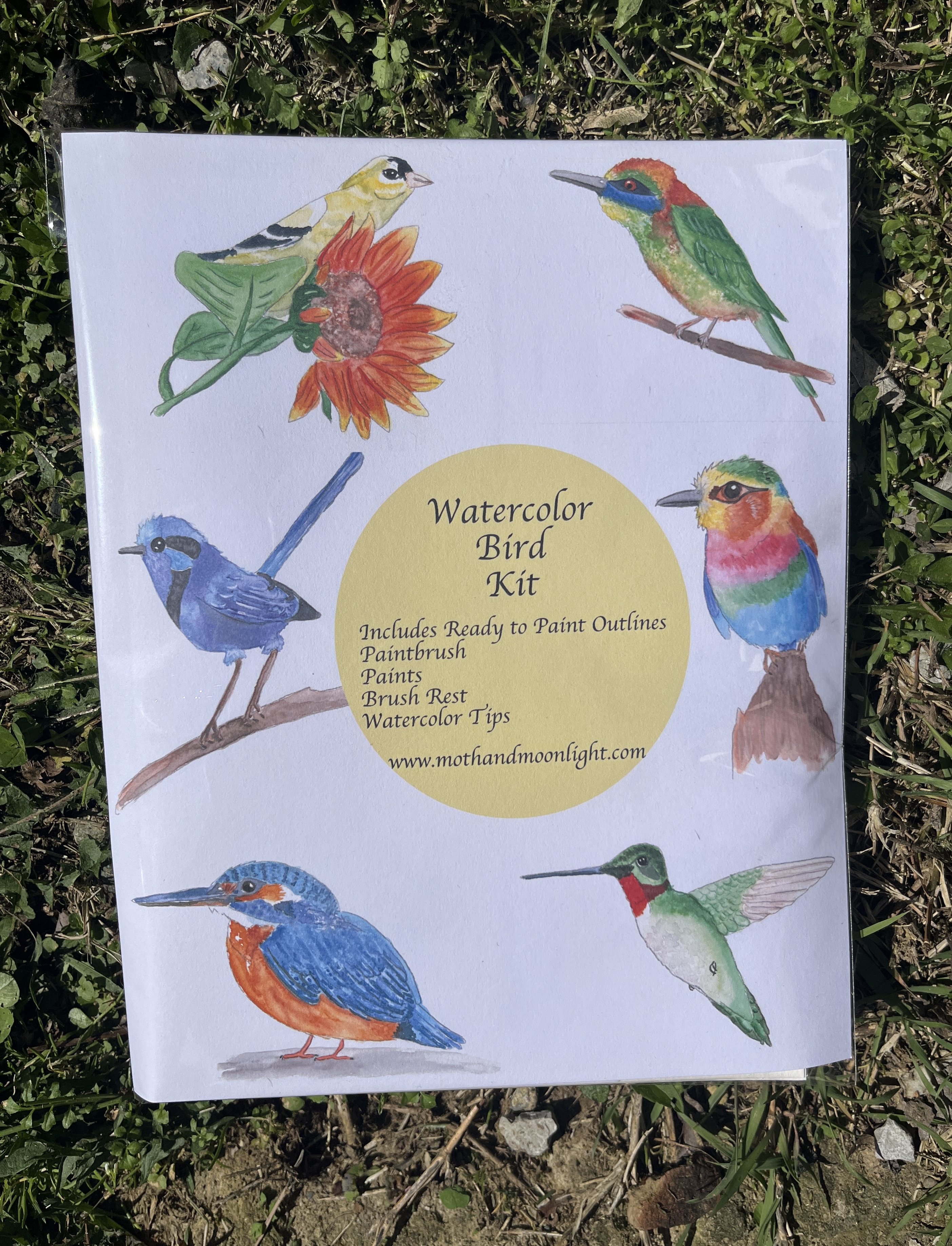 Watercolor Birds Painting Kit