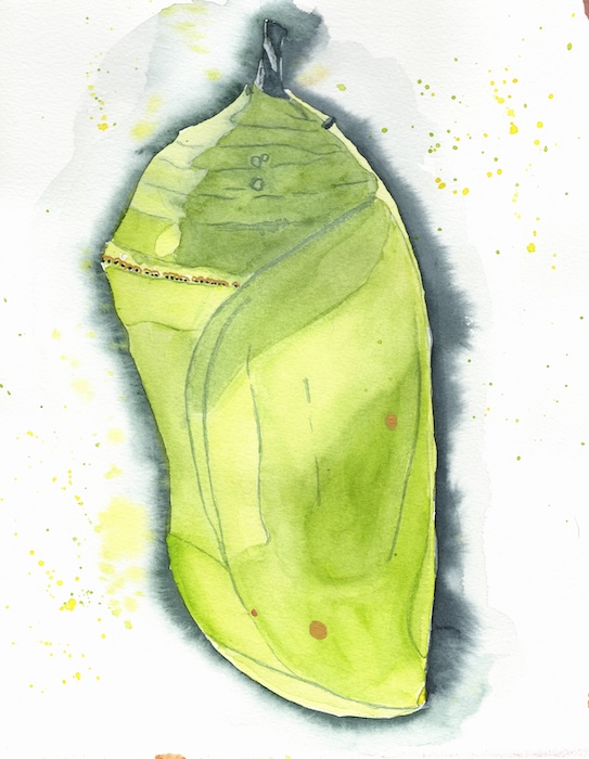 Digital Monarch Painting Set