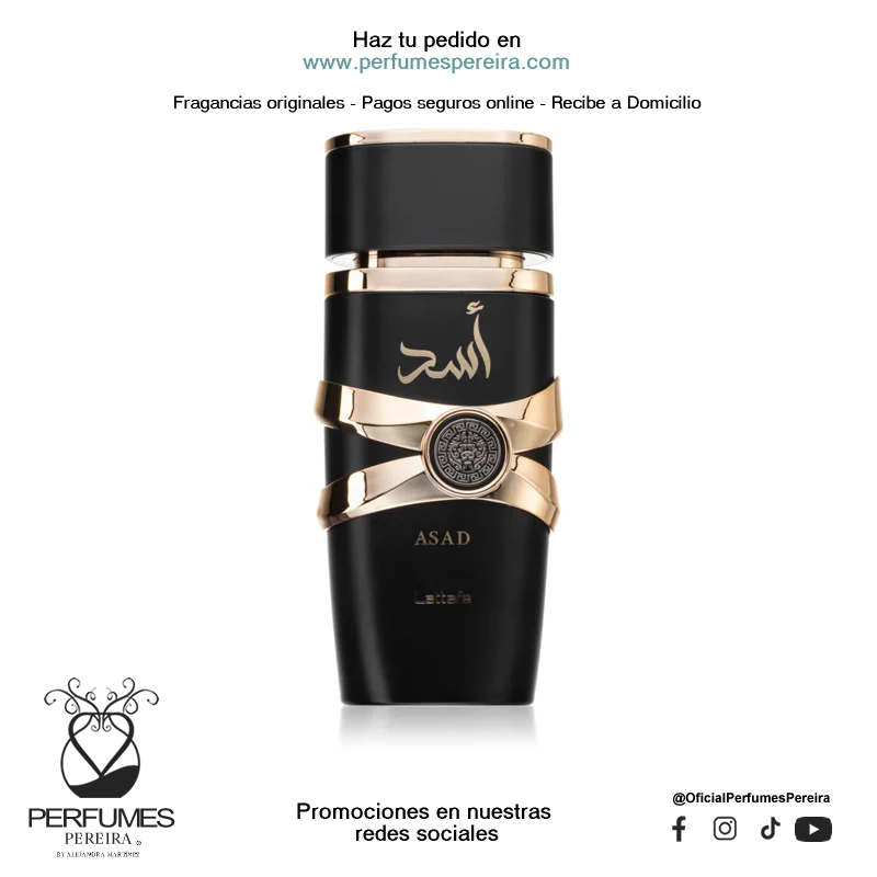 Lattafa Asad - Perfumes para Hombre | Perfumes Pereira