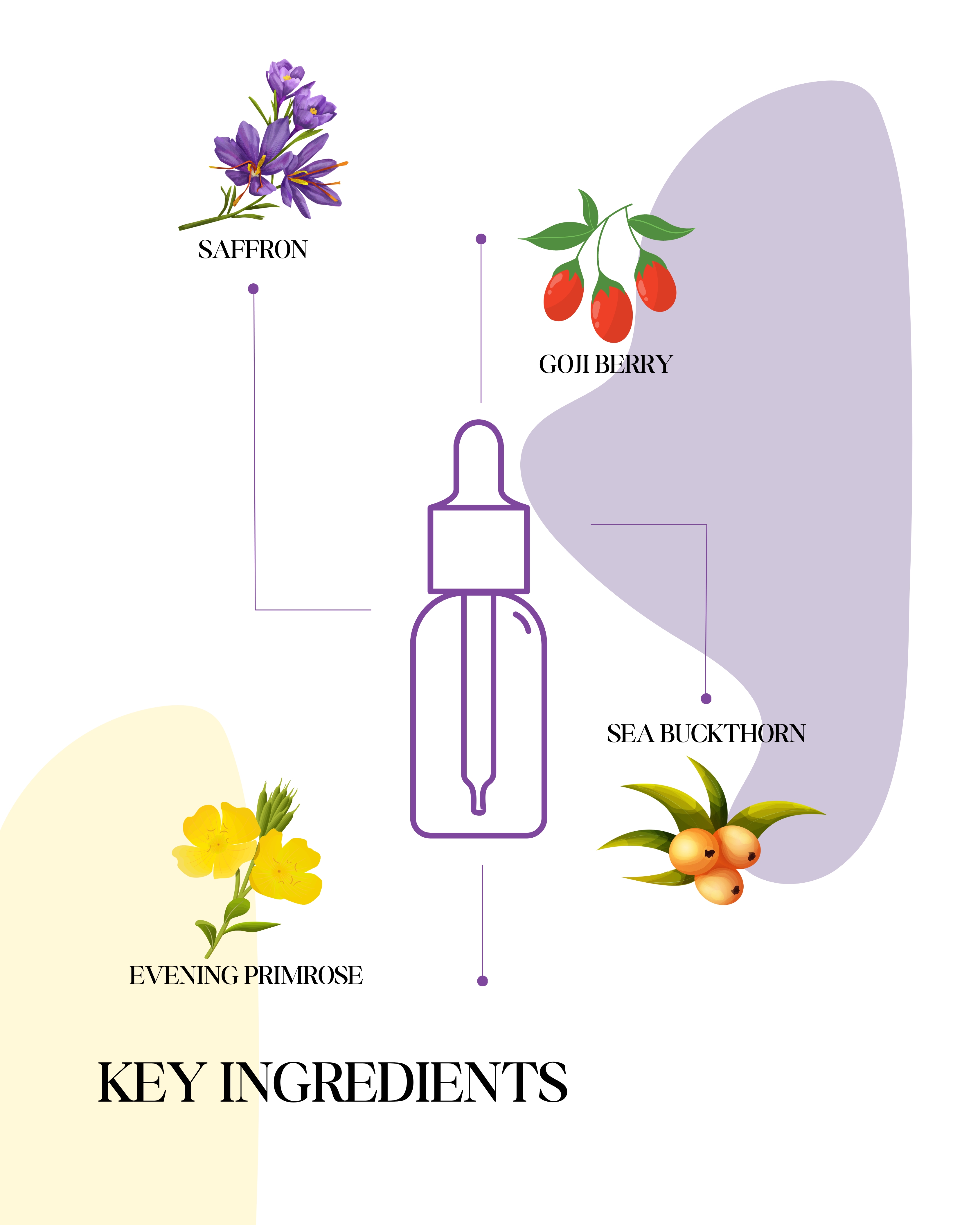 Aster Face Night Serum 