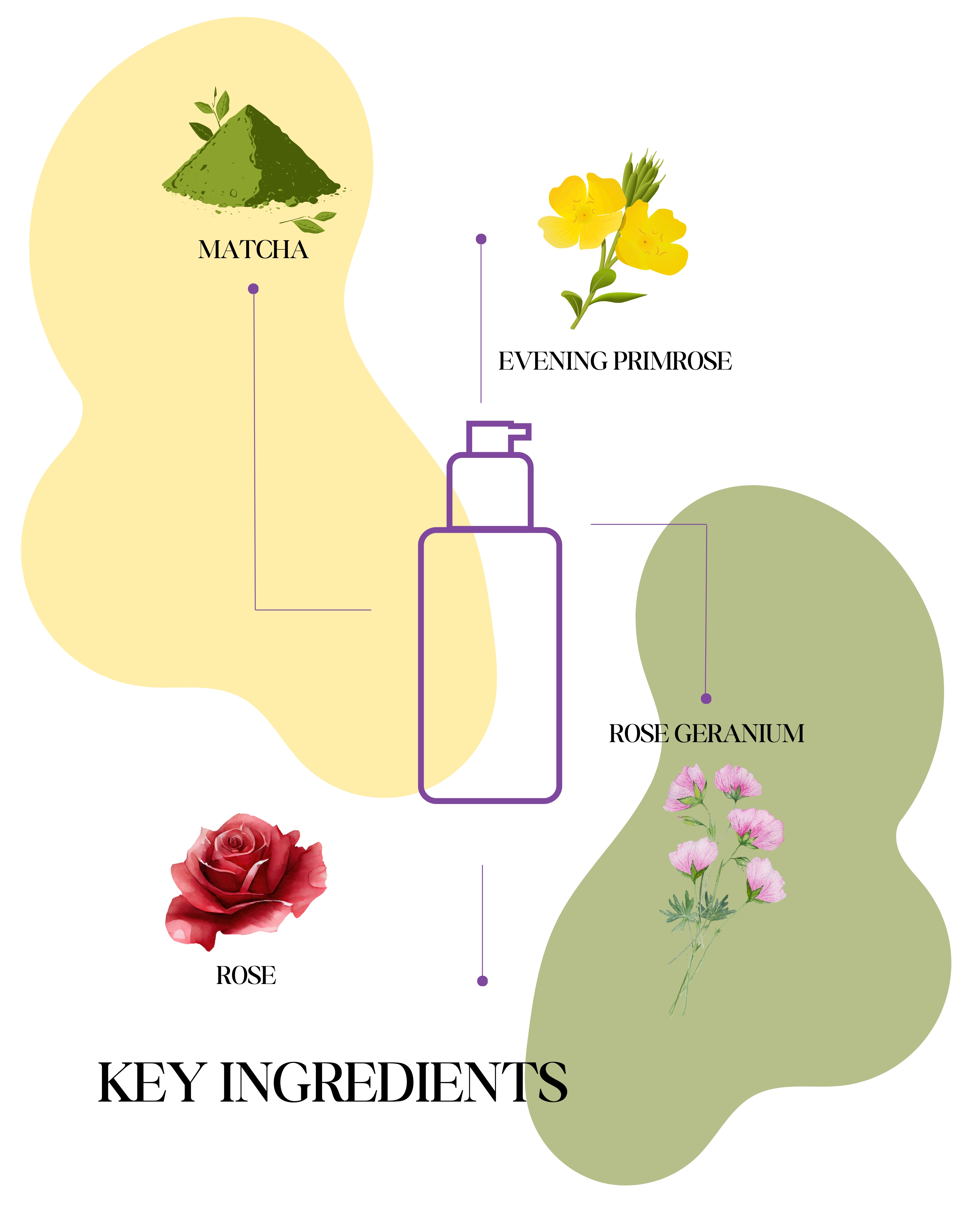 Aster Matcha Day Cream 