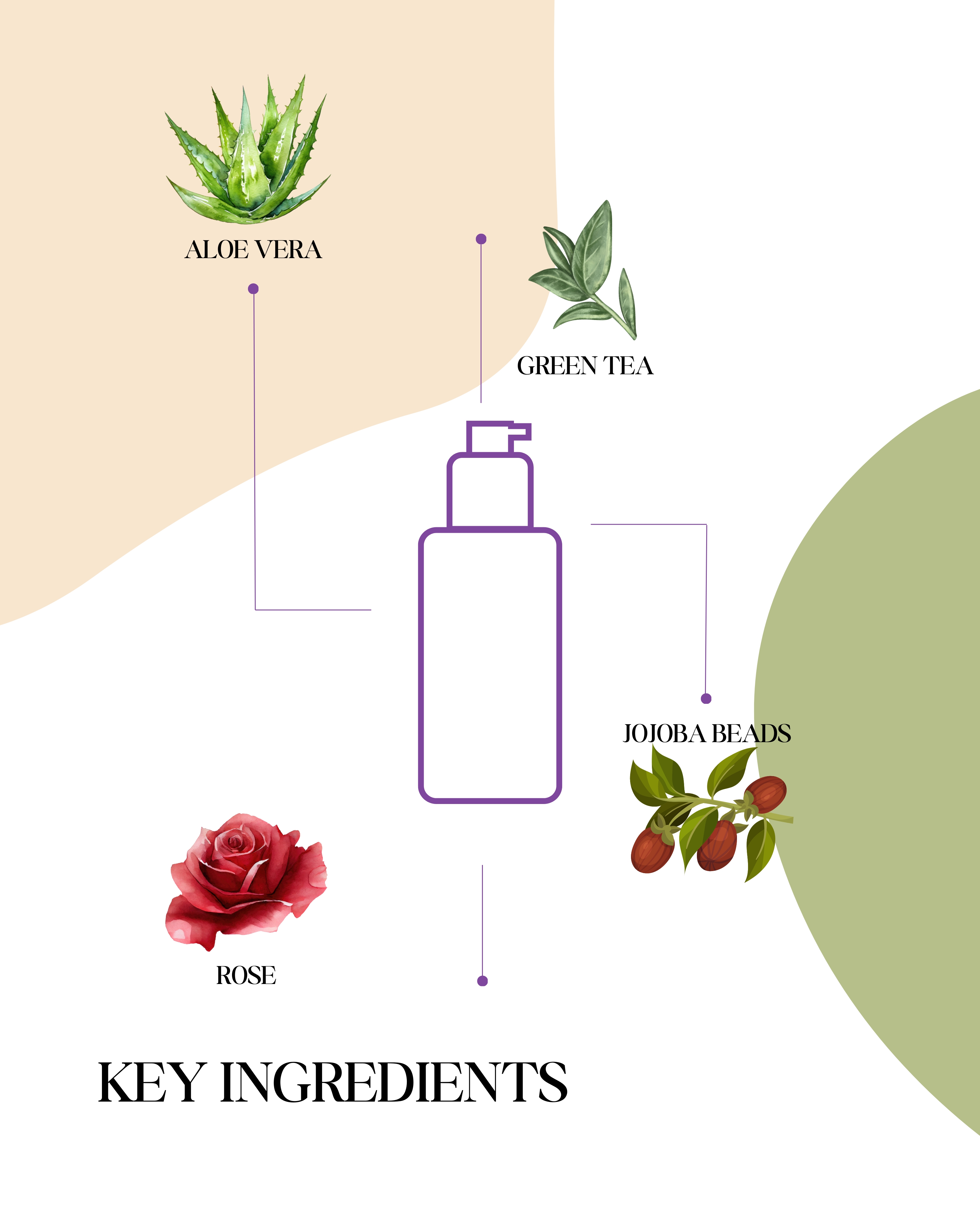 Aster Jojoba Face Cleanser 