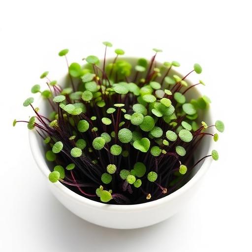 Black Carrot Microgreens