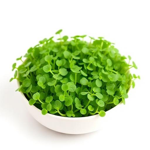 Broccoli Microgreens