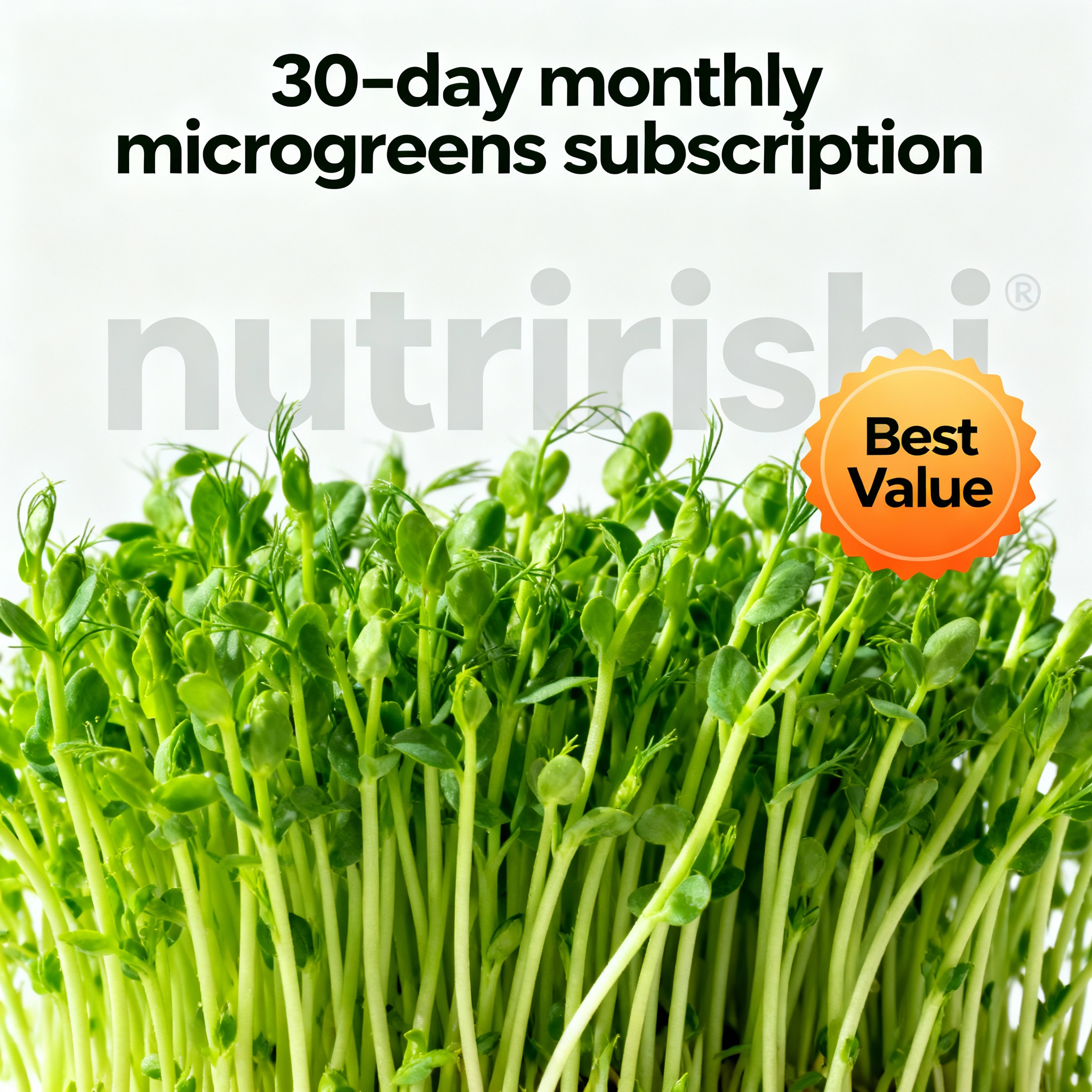 30-Day Plan — Best Value