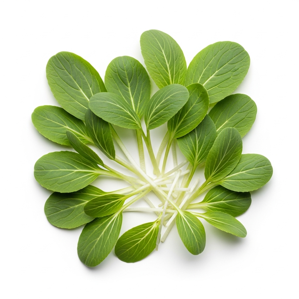 Pak Choi Microgreens