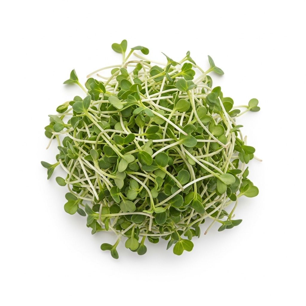 Alfalfa Microgreens
